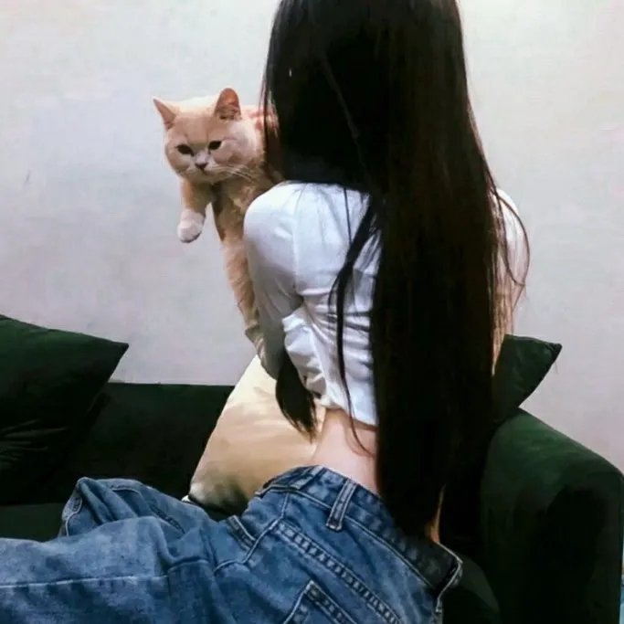 用心过日子